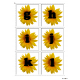 Letter Matching Uppercase and Lowercase - Sunflowers